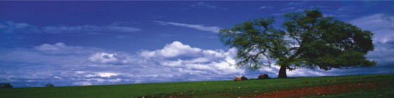      1204